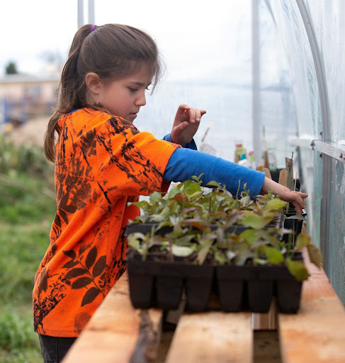 Photo of girl with plant seeding in a greenhouse