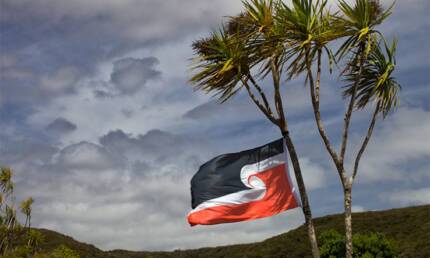 Tino Rangatiratanga flag waves from cabbage tree. Clouds in the background