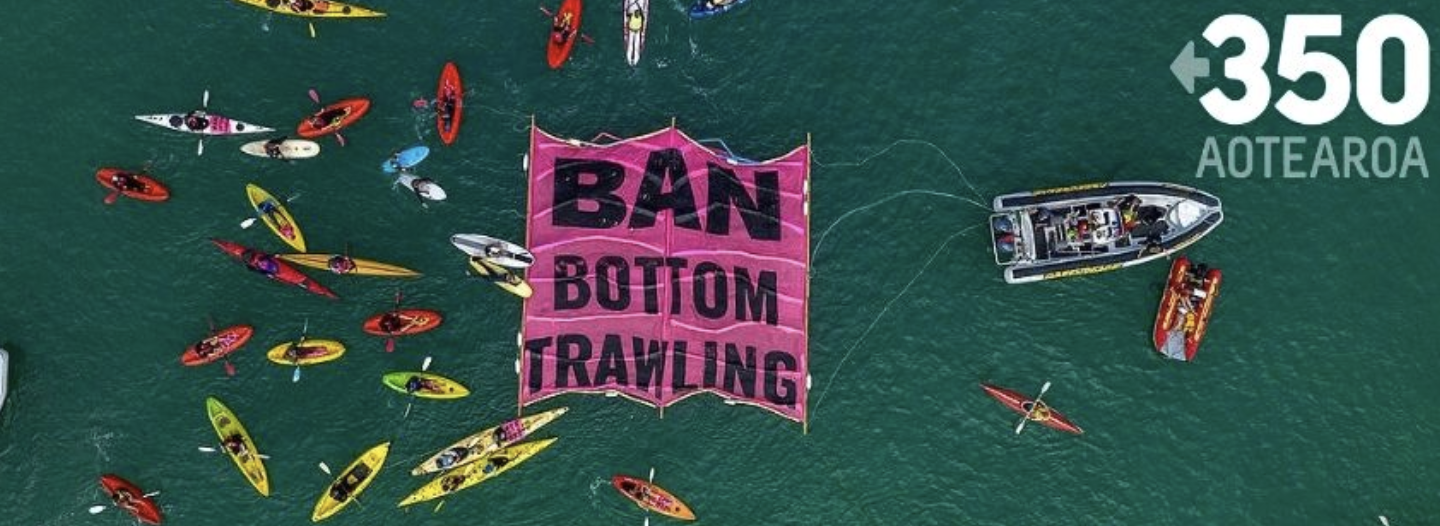 Banner painting for the Hauraki Gulf
